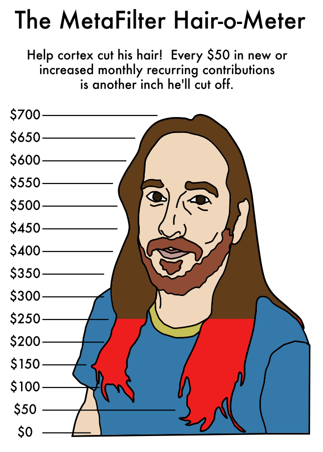 a line drawing of cortex, with his long brown hair over his shoulders, and a graduated series of lines in $50 increments running from zero at the bottom of his hair up to $700 up at the top