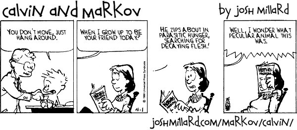 Calvin and Markov