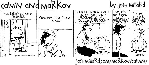 Calvin and Markov