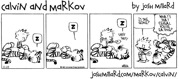 Calvin and Markov